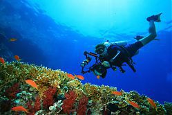 Часы в подарок ныряльщику